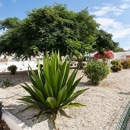 Live Santa Marta Studio Appartement